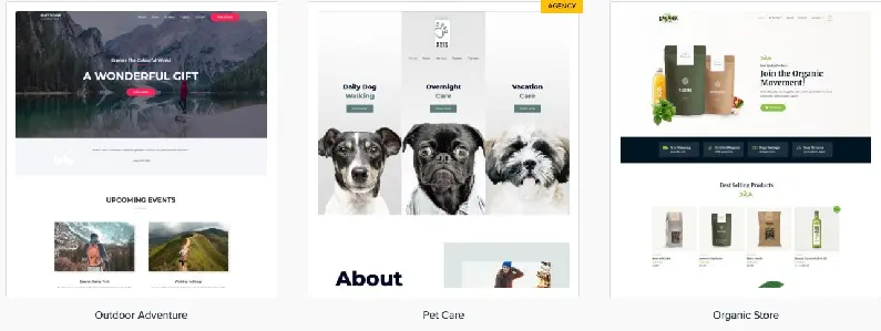 Astra Premium Sites.webp