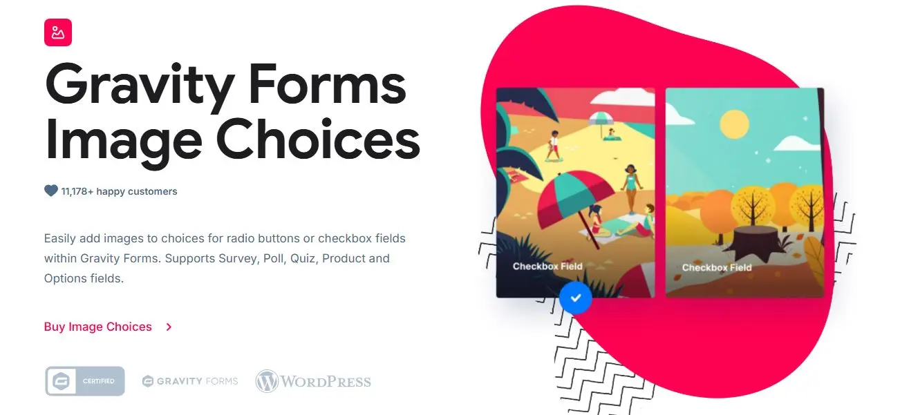 Gravity Forms Image Choices.webp