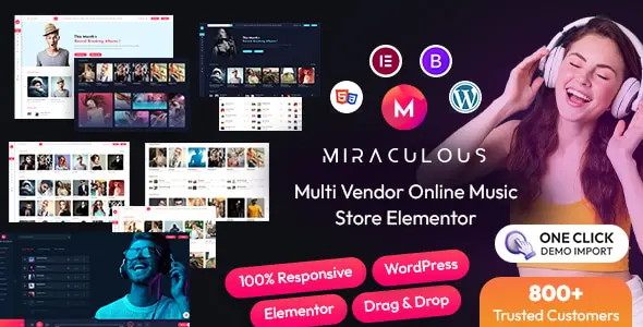 Miraculous-Elementor (2).__large_preview.webp