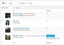 media-file-renamer.webp