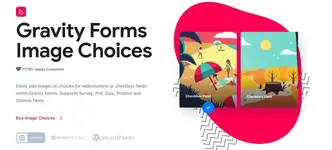 Gravity Forms Image Choices.webp