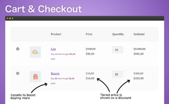 Cartcheckout.webp