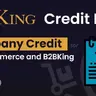 B2BKing Company Credit - WooCommerce Line of Credit System